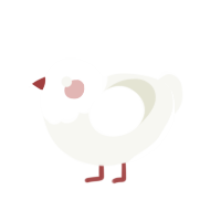 Burgundy, a white chicken with a head pattern