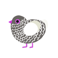 (unnamed), a grey and white chicken with a lace pattern