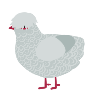 (unnamed), a silver chicken with a double-lace pattern