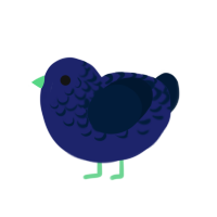 (unnamed), a navy and tumblr chicken with a half-lace pattern