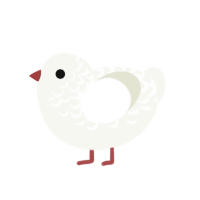 Xie Cluckan, a white chicken with a half-lace pattern