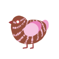 Choco, a russet and pink chicken with a bar pattern