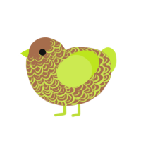 Kiwi, a brown and lime chicken with a double-lace pattern