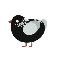 Dark Knight, a black and silver chicken with a neck-speckle pattern