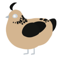 toasted marshmallow, a beige and black chicken with a neck-speckle pattern