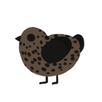 decayed turd, a bark and black chicken with a speckle pattern