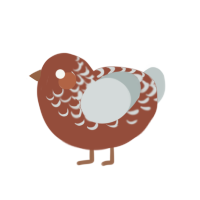 (unnamed), a russet and silver chicken with a half-lace pattern