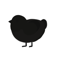 Corvid, a sable and black chicken with a head pattern