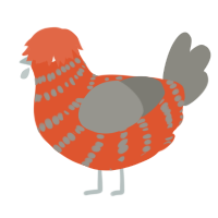 Kassandra, a vermilion and ash chicken with a bar pattern