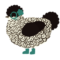 Truffle, a white and black chicken with a double-lace pattern