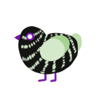 (unnamed), a black and gluppy chicken with a bar pattern