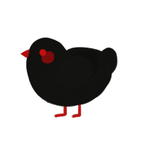 Lieschen, a black chicken with a lace pattern