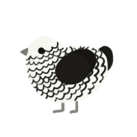 (unnamed), a white and sable chicken with a lace pattern