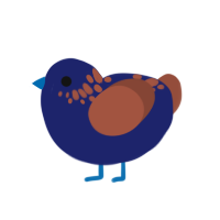 (unnamed), a navy and russet chicken with a neck-speckle pattern