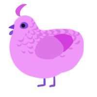 Thistle, a lavender and orchid chicken with a half-lace pattern