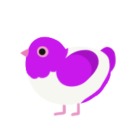 (unnamed), a white and amethyst chicken with a head pattern