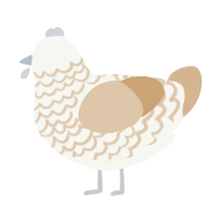 Barley, a white and beige chicken with a lace pattern