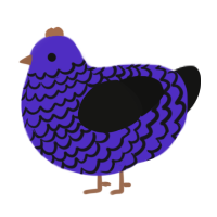 Dusk, a indigo and black chicken with a lace pattern