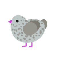 Smokey, a silver and ash chicken with a speckle pattern