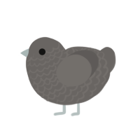 pavemet, a grey chicken with a lace pattern