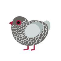 (unnamed), a grey and silver chicken with a lace pattern