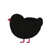 (unnamed), a black chicken