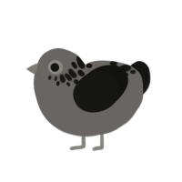 (unnamed), a grey and black chicken with a neck-speckle pattern