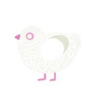 Pompom, a white chicken with a lace pattern