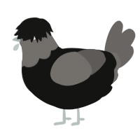 A black and grey chicken with a head pattern