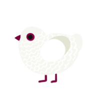 (unnamed), a white chicken with a lace pattern