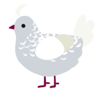 libra, a white chicken with a half-lace pattern