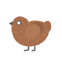 Rumbie, a brown chicken with a speckle pattern