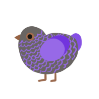 Purpurite, a grey and blurple chicken with a lace pattern