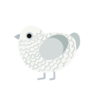 Watt, a white and silver chicken with a lace pattern