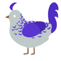 Grey Tanzanite, a silver and indigo chicken with a half-lace pattern