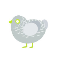 Limelight, a silver and mist chicken with a half-lace pattern