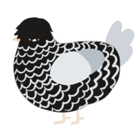 Fumèe Noire, a sable and mist chicken with a lace pattern