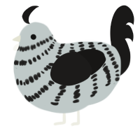 A silver and sable chicken with a bar pattern