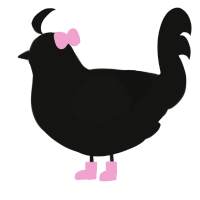 Coquette, a black chicken