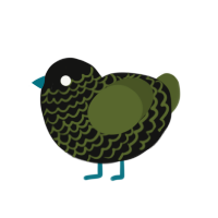 Moss 2, a black and olive chicken with a lace pattern