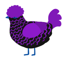 Poetry, a black and violet chicken with a lace pattern