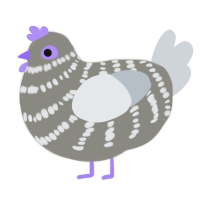 (unnamed), a ash and mist chicken with a bar pattern