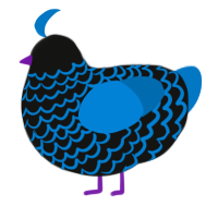 Evening, a black and sapphire chicken with a lace pattern