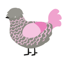 Merrete, a ash and pink chicken with a lace pattern