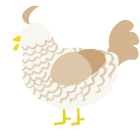 Soy Latte, a white and beige chicken with a lace pattern