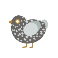 New Year smog, a grey and silver chicken with a speckle pattern