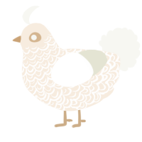 Vintage, a cream and white chicken with a double-lace pattern