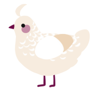 Eggnog, a cream chicken with a half-lace pattern