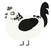 van dracula, a white and sable chicken with a neck-speckle pattern