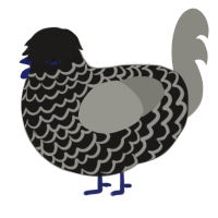 (unnamed), a sable and ash chicken with a lace pattern